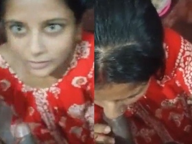 Desi babe in nighty gives a blowjob to her lover