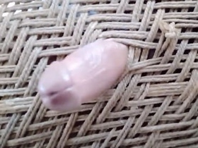 Desi girl's hilarious solo masturbation session