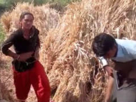 Indian couple enjoys outdoor fucking in homemade video