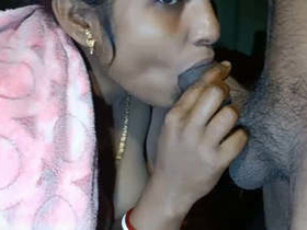 Payel Bhabi gets her pussy licked and fucked in a hot video