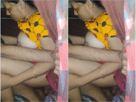 Desi aunty and nephew have an affair in HD porn video