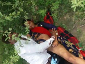Amateur couple gets caught having sex in public