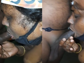Desi bhabhi satisfies her master with a blowjob at home