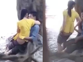 Cute Asian girl gets fucked in the park