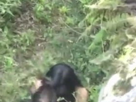 Desi Aunty's steamy outdoor affair