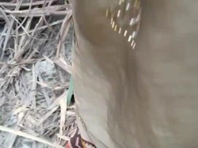 Indian couple enjoys public sex in the park