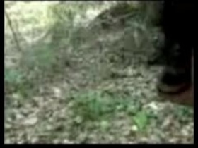 Desi teen babe from Kerala flaunts her small boobs in HD video