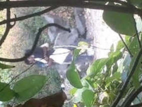 College lover enjoys outdoor sex in India