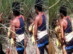 Desi MMS video of group sex in outdoor setting