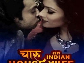 Charu's Indian home movie: A paid homage to housewives