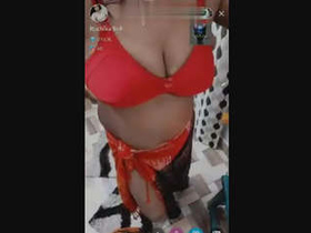 Indian bhabi gets hardcore with Devar in this sexy video