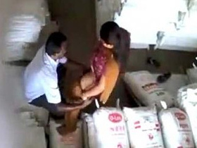 Hot Desi coworker and bhabi indulge in office licking and fucking
