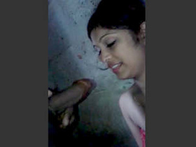 Desi babe gives a sensual bathroom blowjob to her lover