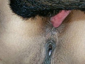 Riya Kee gets her pussy and ass licked hard by a sexy Indian babe