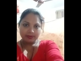 Kavita Bhabhi's sizzling performance in a revealing outfit
